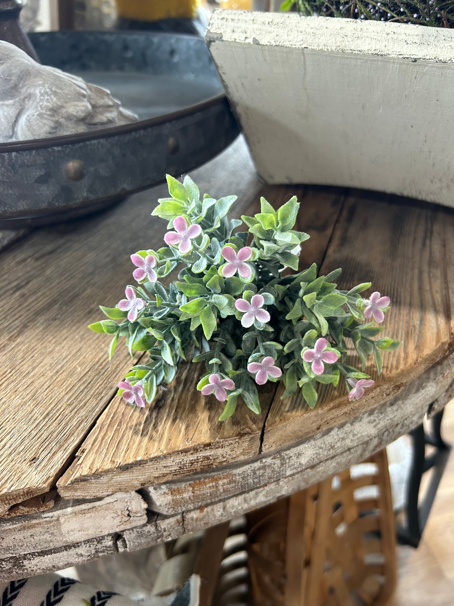 Lavender Pick