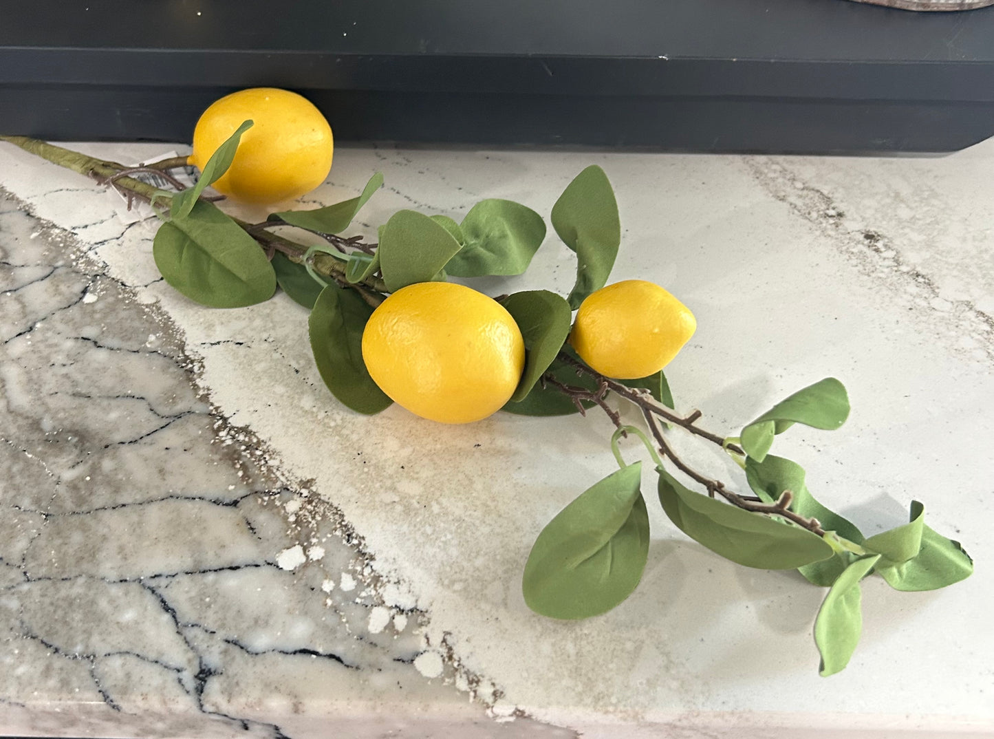 Lemon-Branch