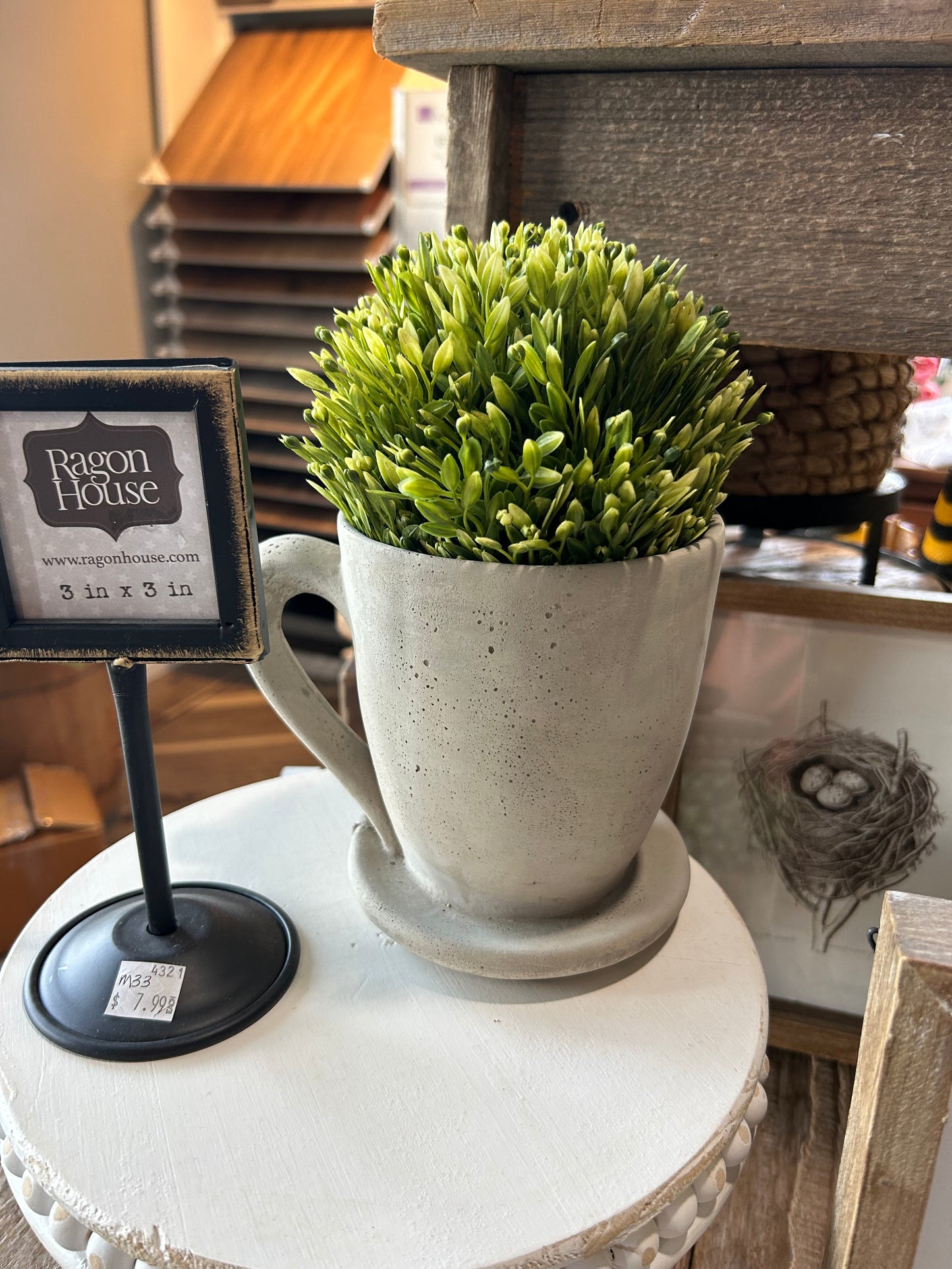 Cement Tea Mug Planter