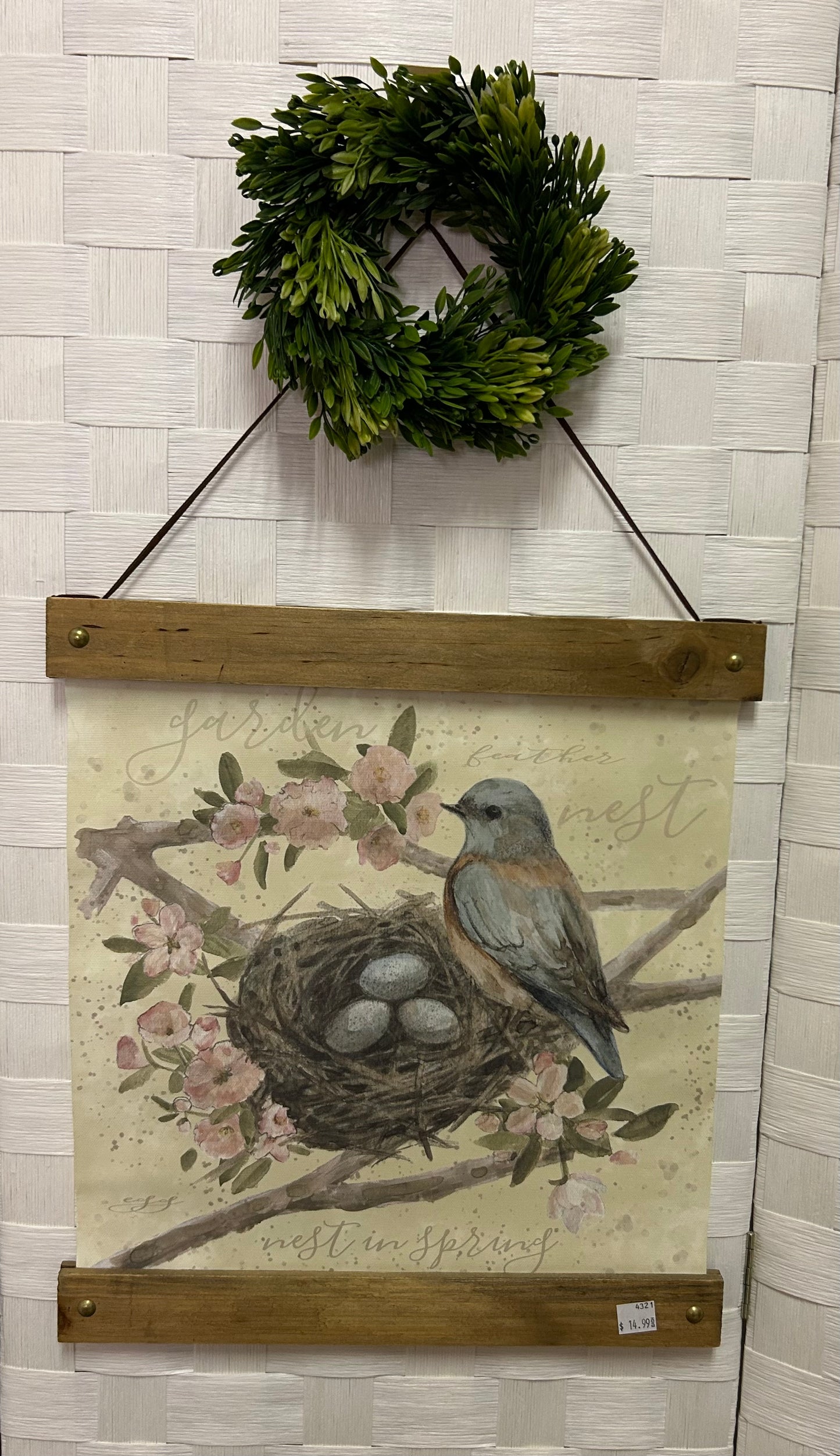 Blue Bird With Nest Picture