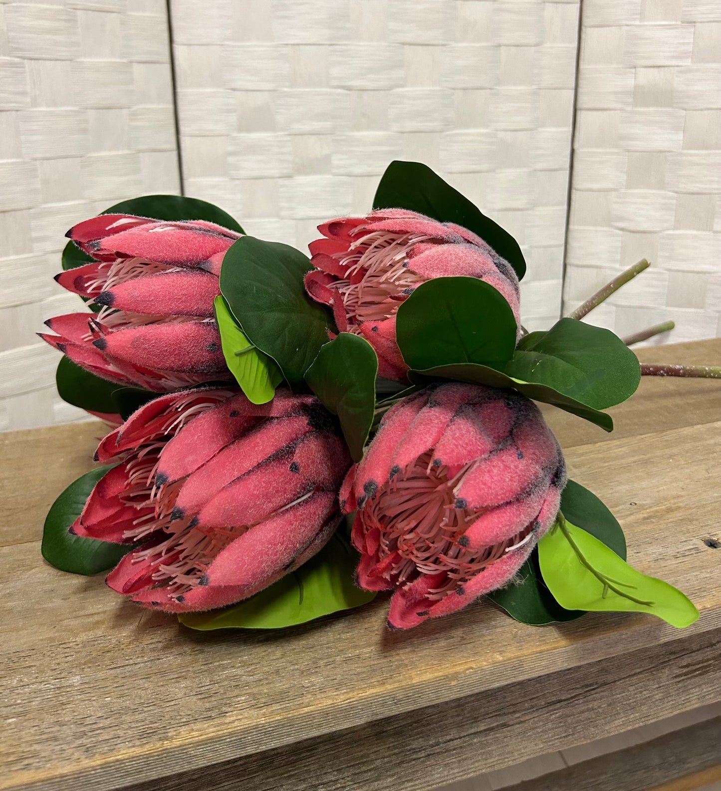 Mauve Protea Spray
