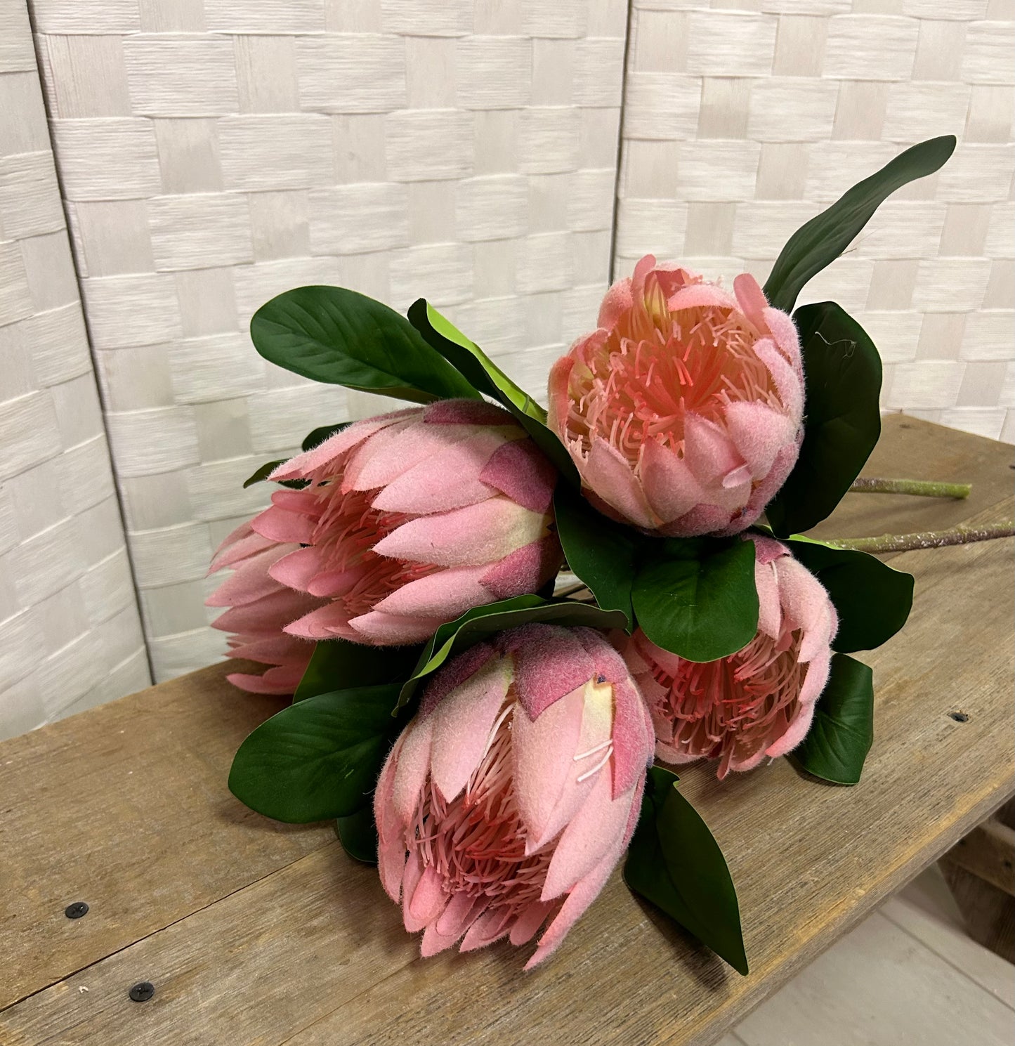 Protea Spray