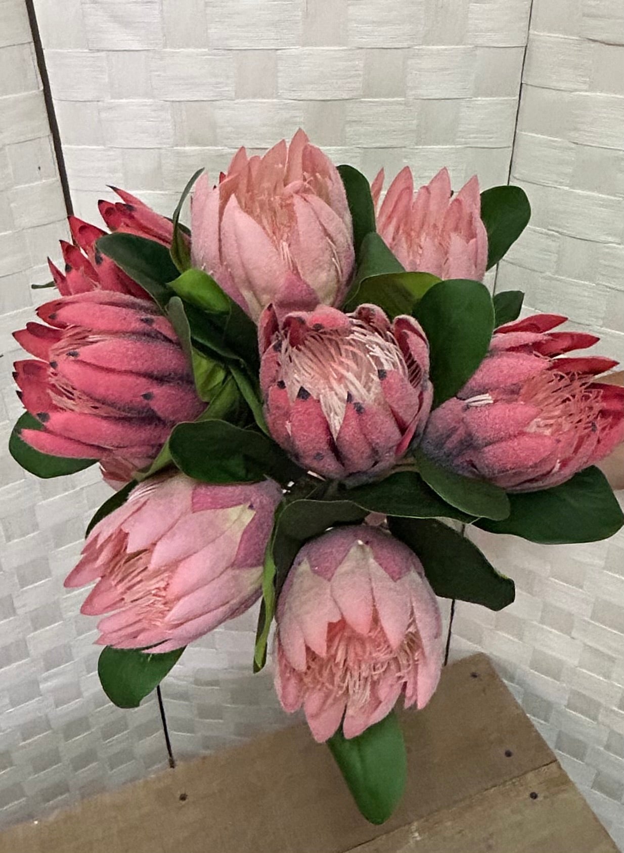 Protea Spray