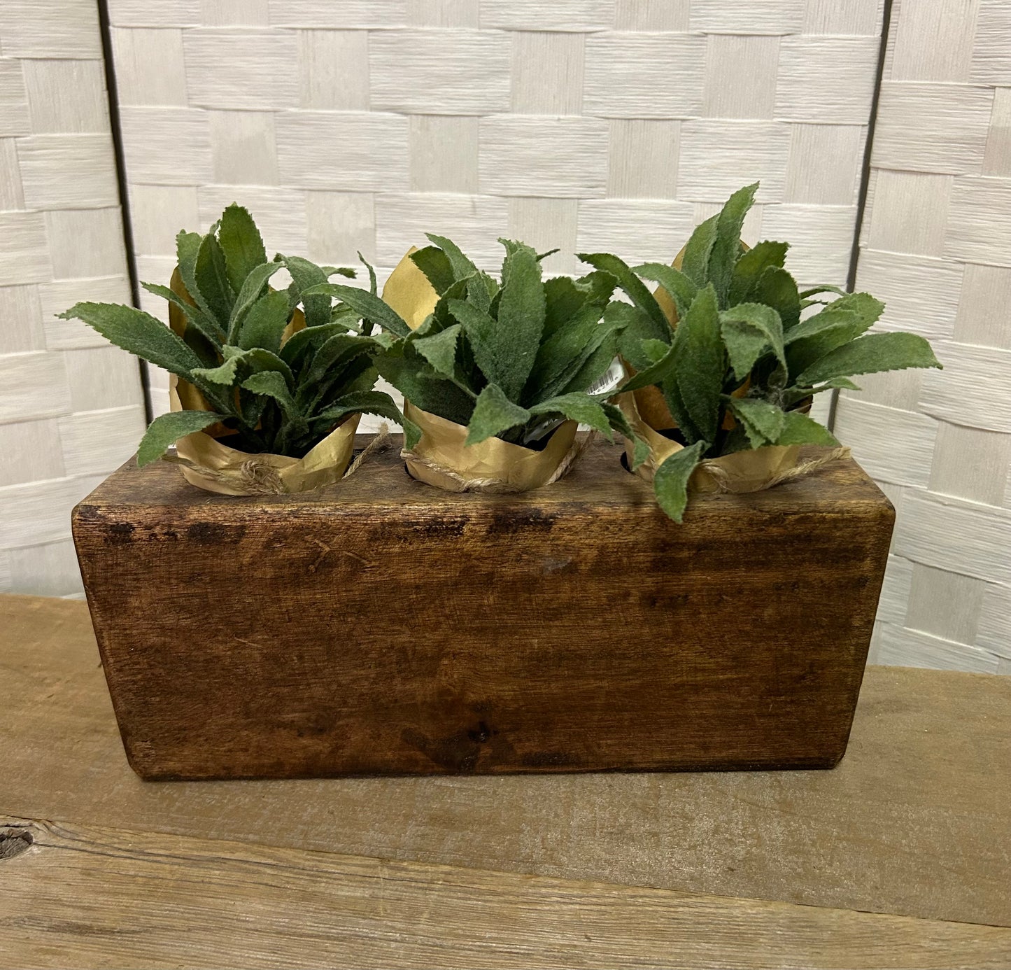 Paper Pot Herb