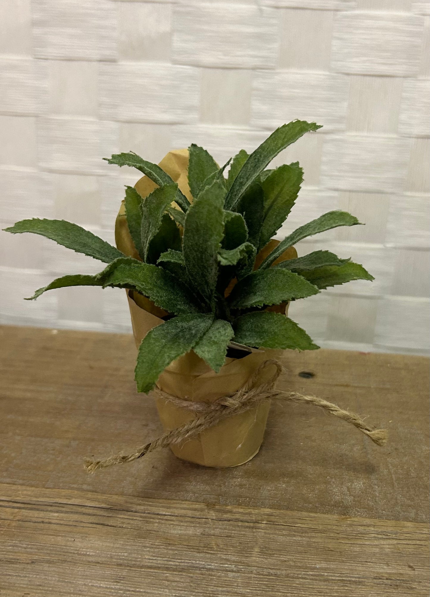 Paper Pot Herb