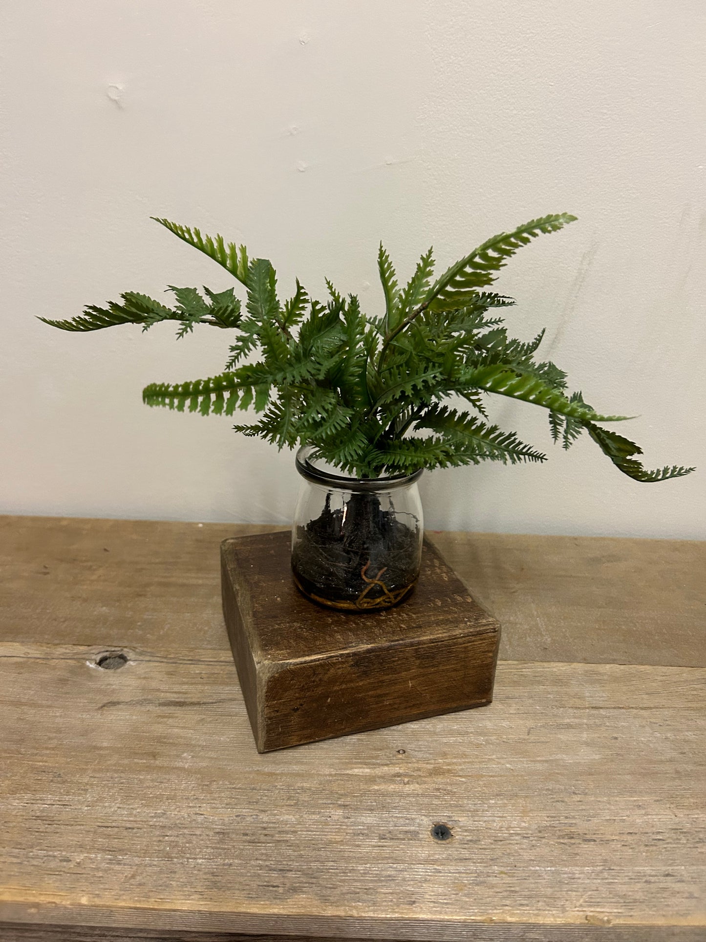Glass Jar Fern/Succulent