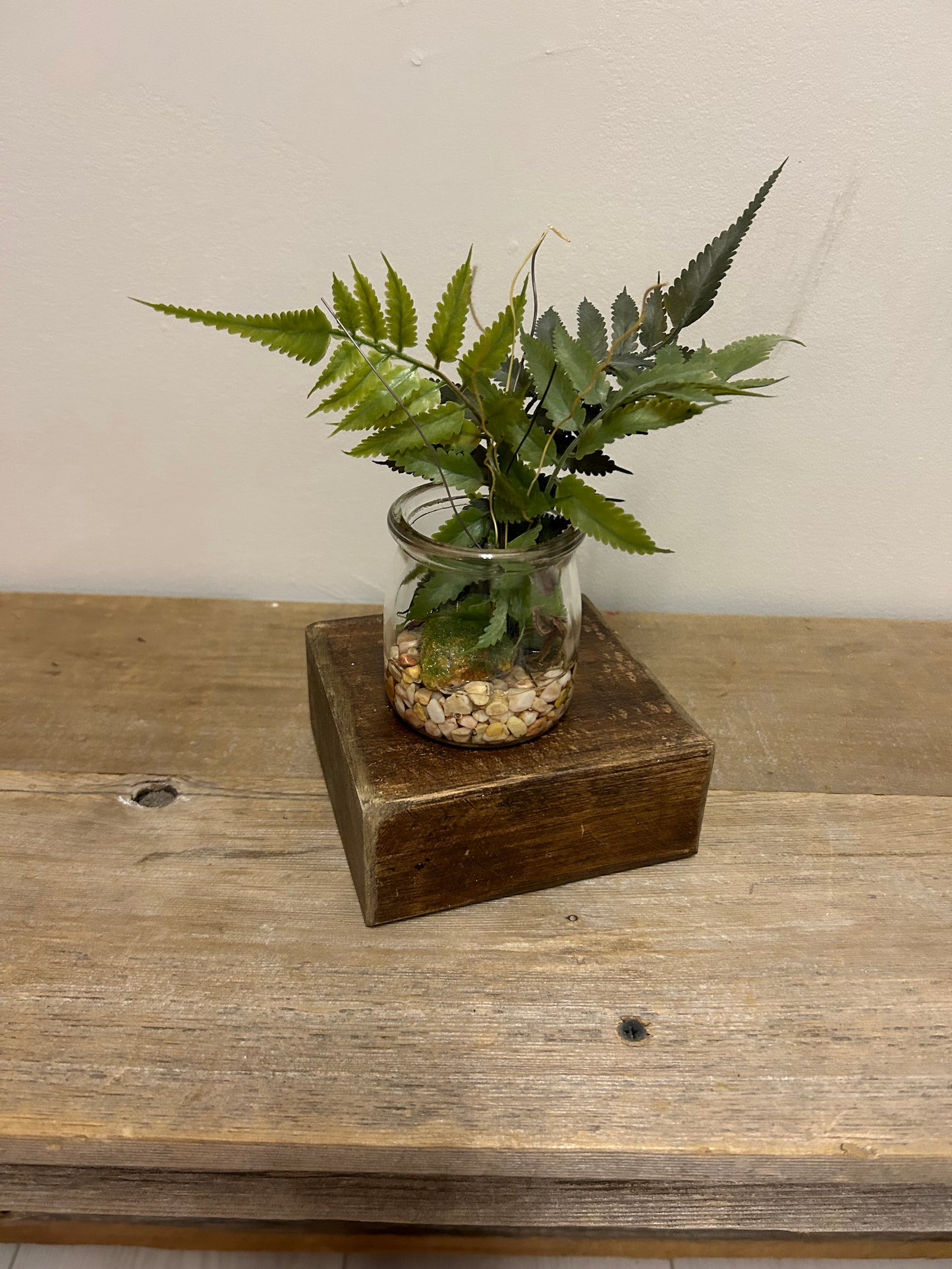 Glass Jar Fern/Succulent