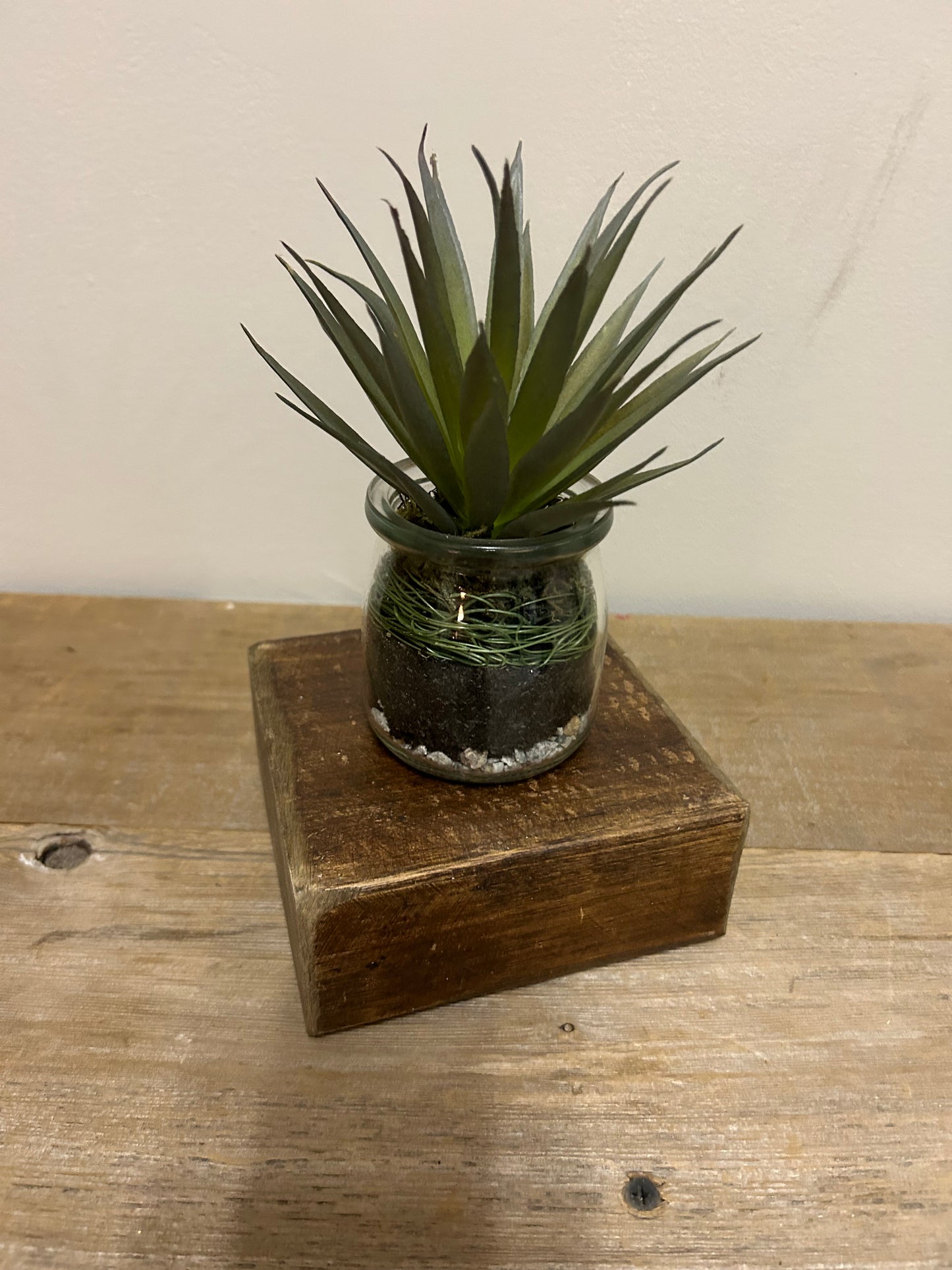 Glass Jar Fern/Succulent