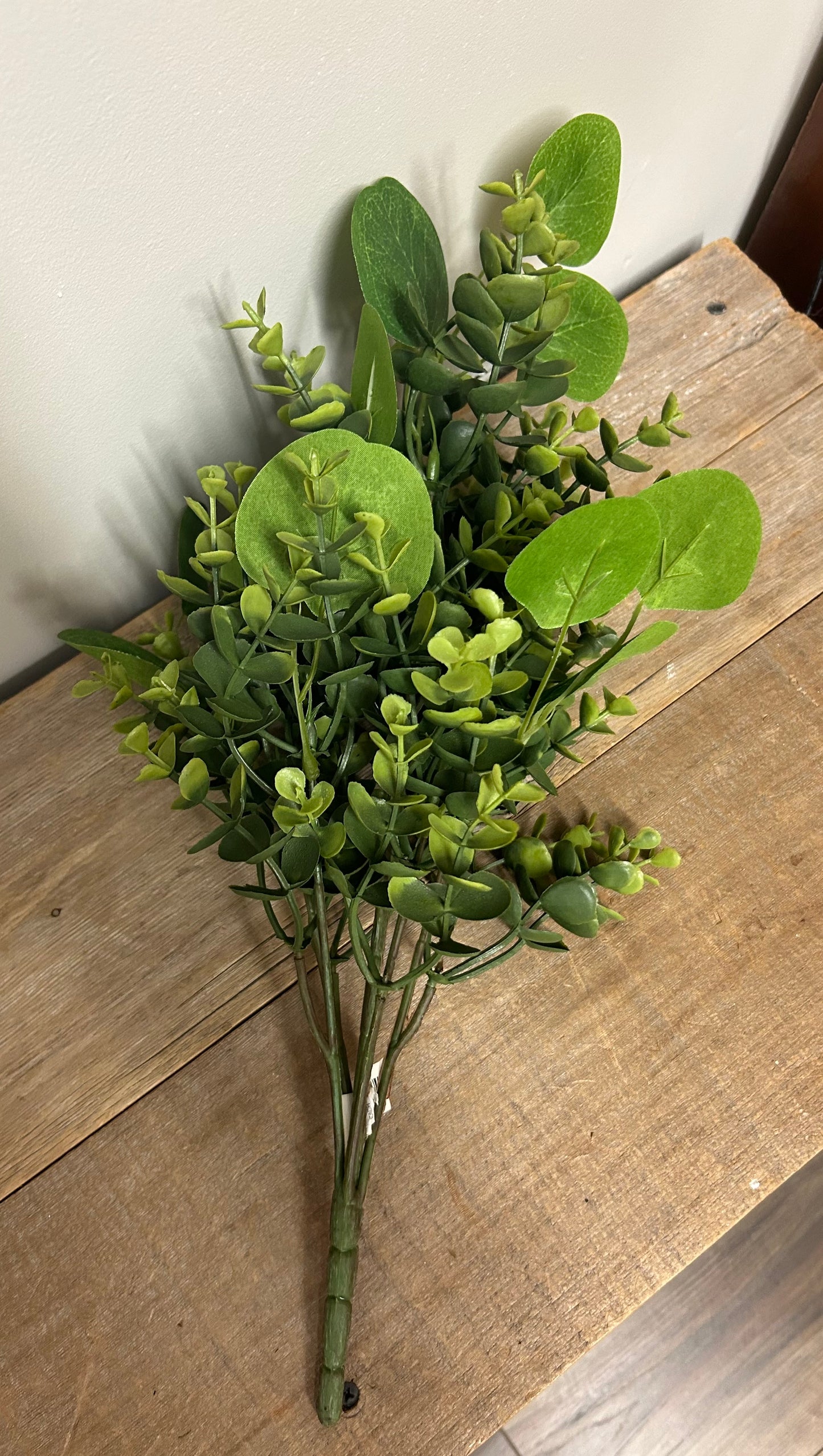 Boxwood and Eucalyptus Bush