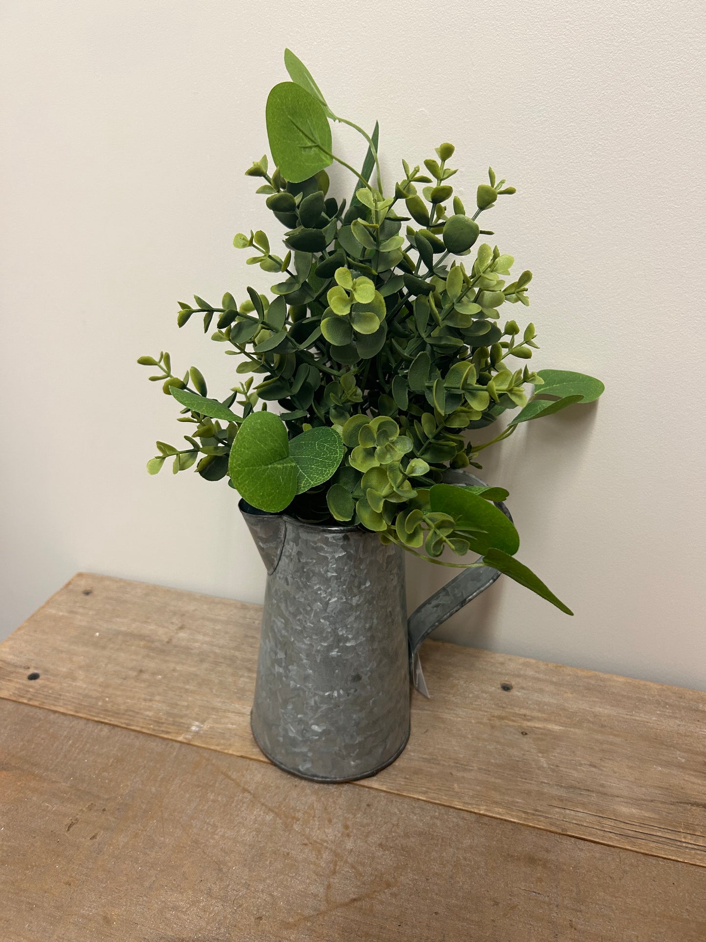 Boxwood and Eucalyptus Bush