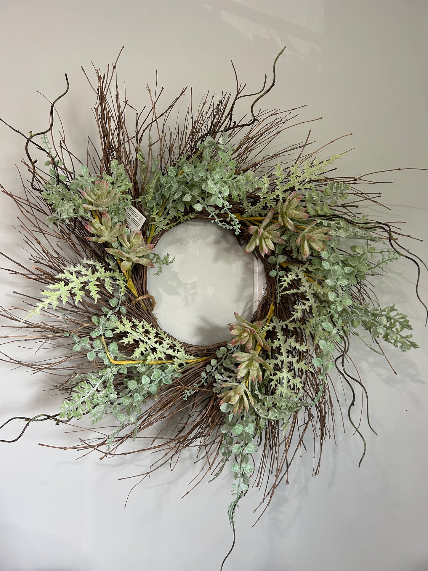 Succulent and Grapevine Wreath