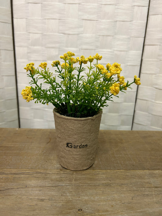 Yellow Garden Potted Flower
