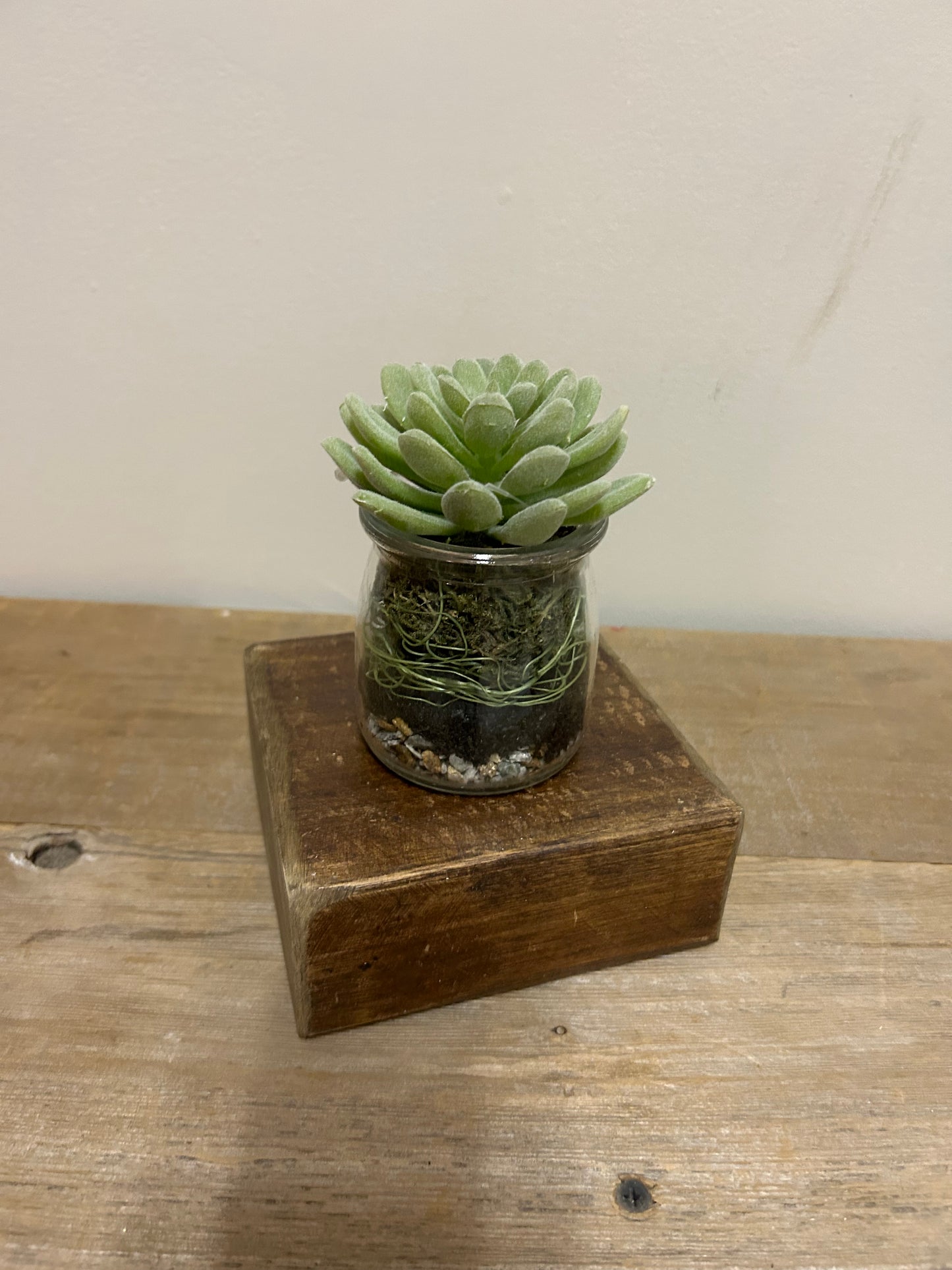 Glass Jar Fern/Succulent