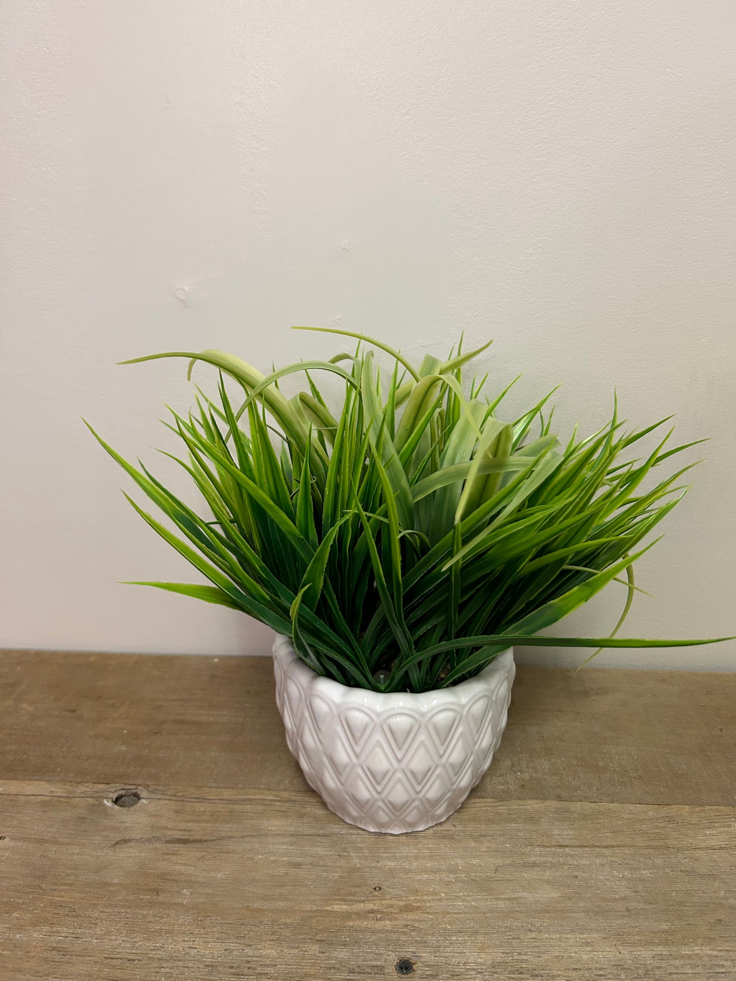White Potted Plant