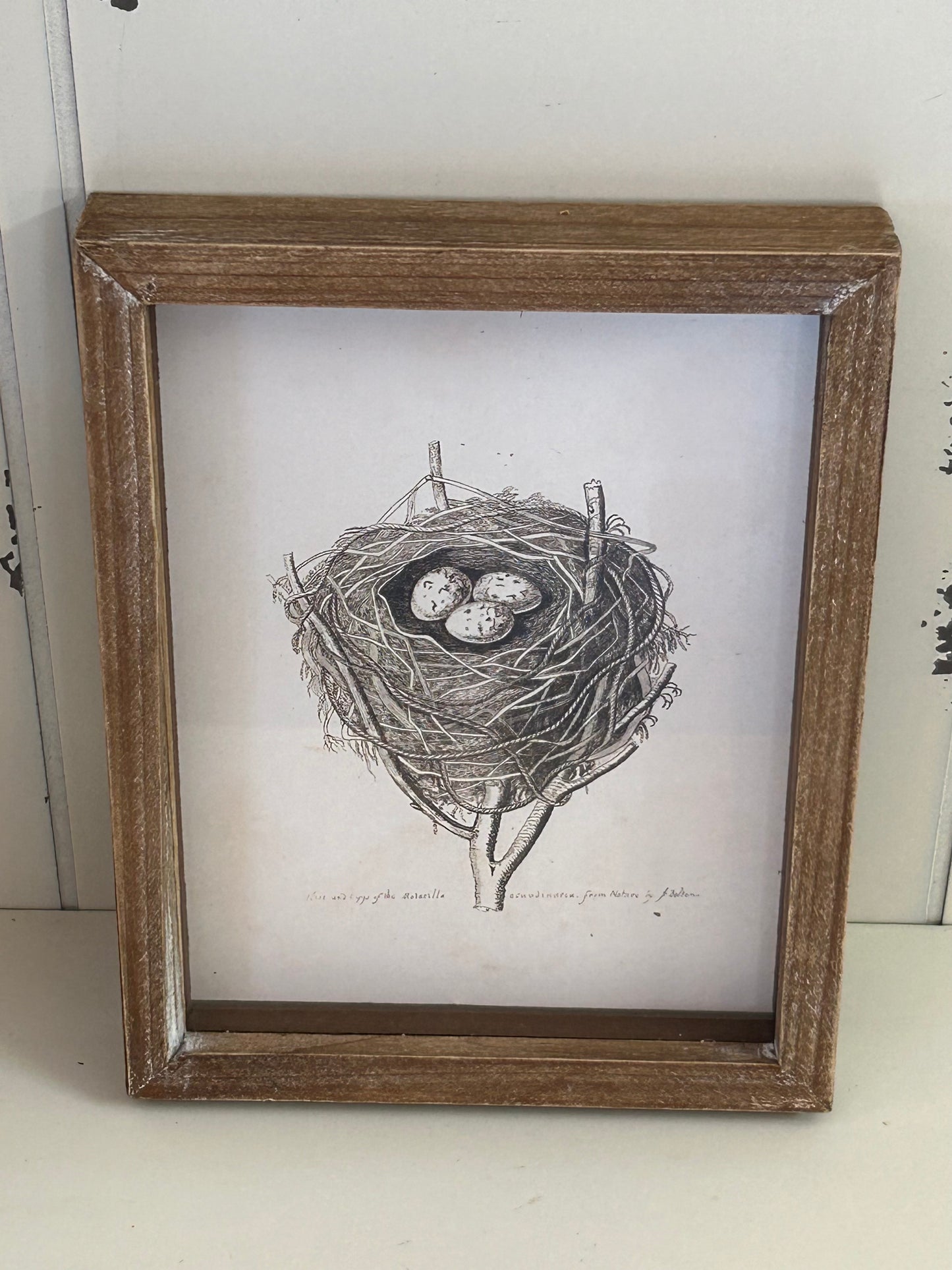 Wooden Picture with European Birds Nest